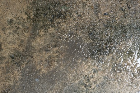 wet ground textureの写真素材