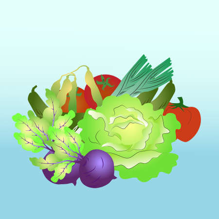 vector vegetables illustrationのイラスト素材