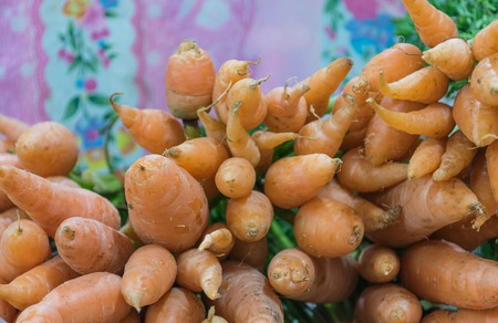 fresh baby carrot in the market