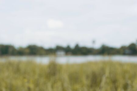 Out of focus tropical dry grass  and riverの写真素材