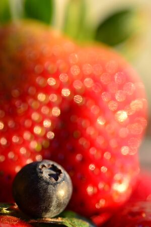 strawberryの写真素材