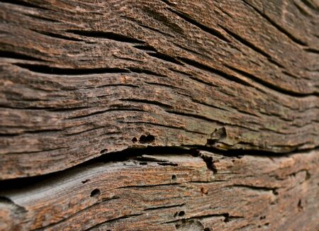 wood backgroundの写真素材