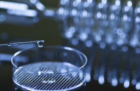 labolatory glassの写真素材