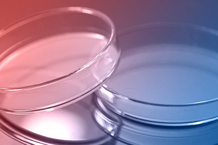 laboratory glassの写真素材