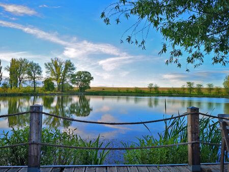 Serene sky reflecting on calm lake with lush vegetationの写真素材