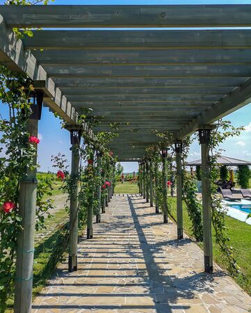 A paved path in the garden with wooden archways covered in rose plants and blooming roses, ideas for garden decorations with beautiful natural motifsの写真素材