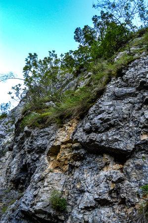 Sun shining over green forest and Rocky eroded terrain, Sohodol Gorges(Cheile Sohodolului), Valcan mountains, in Gorj county, Romaniaの写真素材