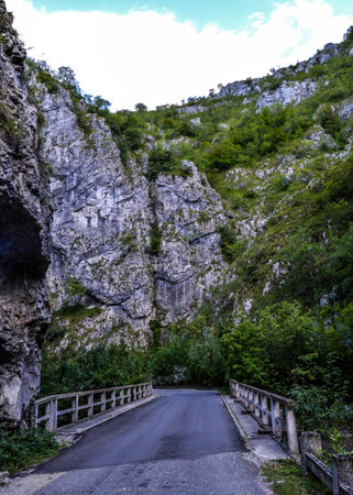 Bridge and road passing through rocky eroded terrain, surrounded by rocks and lush vegetation on the banks, Sohodol Gorges(Cheile Sohodolului), Valcan mountains, in Gorj county, Romaniaの写真素材