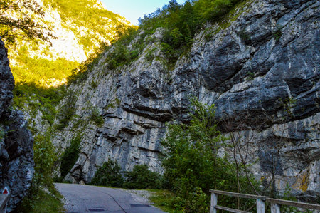 Road running through rocky formation and lush green vegetation, sunshine over natural landscape in, Sohodol Gorges(Cheile Sohodolului), Valcan mountains, in Gorj county, Romaniaの写真素材