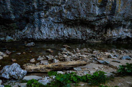 Pristine natural landscape with River flowing freely through the eroded rocks and driftwood in the Sohodol Gorges, in Gorj county Romaniaの写真素材