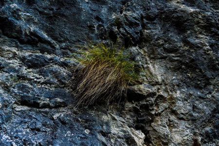 Pristine natural landscape with River flowing freely through the eroded rocks in the Sohodol Gorges(Cheile Sohodolului), in Gorj county Romaniaの写真素材