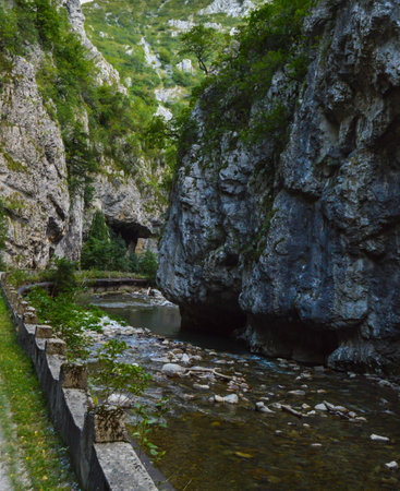 Pristine natural landscape with River flowing freely through the eroded rocks in the Sohodol Gorges(Cheile Sohodolului), in Gorj county Romaniaの写真素材