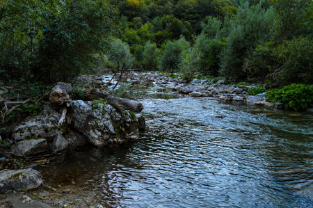 Pristine natural landscape with River flowing freely through the eroded rocks in the Sohodol Gorges(Cheile Sohodolului), in Gorj county Romaniaの写真素材