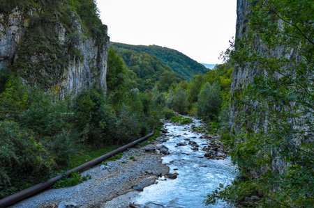River running through rocky formation and lush green vegetation, natural landscape in, Sohodol Gorges(Cheile Sohodolului), Valcan mountains, in Gorj county, Romaniaの写真素材