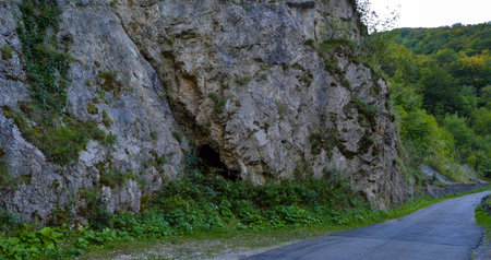 Sun shining over green lush vegetation and road through Rocky eroded terrain, Sohodol Gorges(Cheile Sohodolului), Valcan mountains, in Gorj county, Romaniaの写真素材