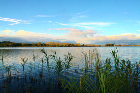 Lago di Candia vista dal cannetoの写真素材