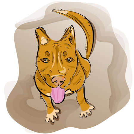 Hand drawn of red dog sitting and smile.のイラスト素材