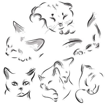 Head of a sleeping cats isolated on a white background. Sketchのイラスト素材