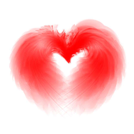Heart from feathers on white backgroundのイラスト素材