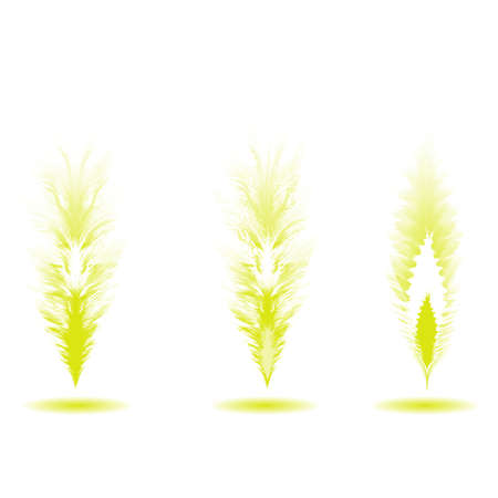 Set of different feathers of birds. Feathers like brushes. Unique brushes. Vector illustrationのイラスト素材