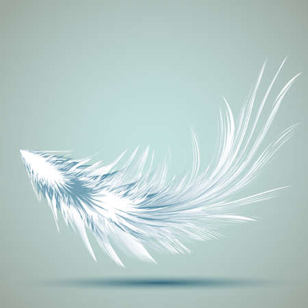 Vector Illustration of Feather EPS10 Card Designのイラスト素材