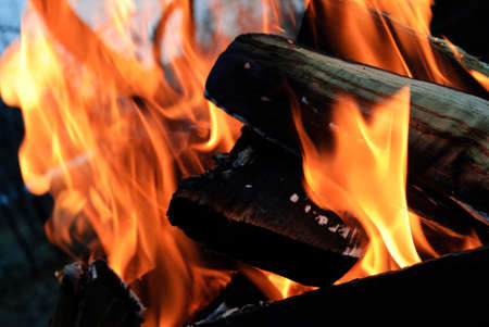 Fire flames background.Wood in the fire
