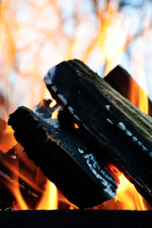 Fire flames background.Wood in the fire