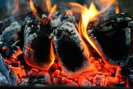 Fire flames background.Wood in the fire