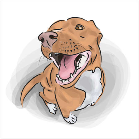 Hand drawn red dog sittingのイラスト素材