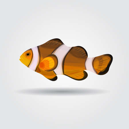 Reef fish, clown fish fish isolatedのイラスト素材