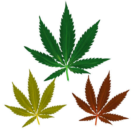 Vector grunge marijuana icon set in green, red and yellow colorsのイラスト素材