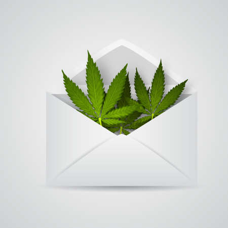 open envelope with cannabis leafs isolatedのイラスト素材