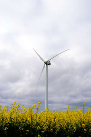 the windmills on the fieldの写真素材