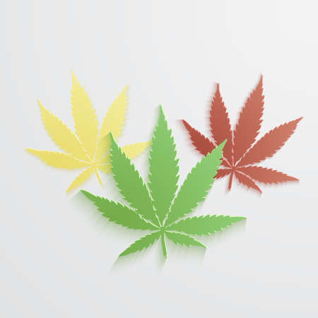 set of Marijuana or cannabis vector leafのイラスト素材