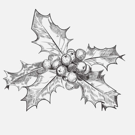 Holly Berry sketch style black and white Vector Illustrationのイラスト素材