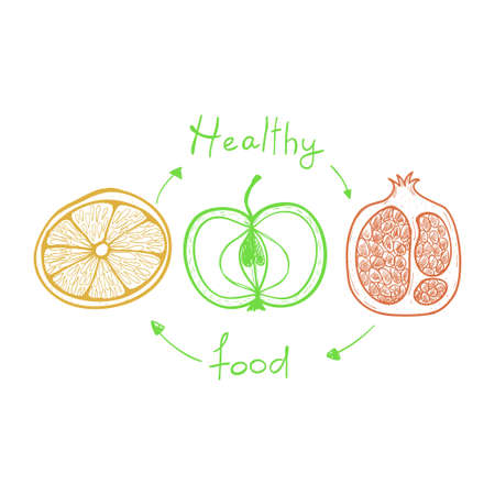 doodle fruits, apple, orange,pomegranate doodle illustration. Simple style Healthy foodのイラスト素材