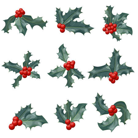 Christmas holly berry icon collection. Vector illustrationのイラスト素材
