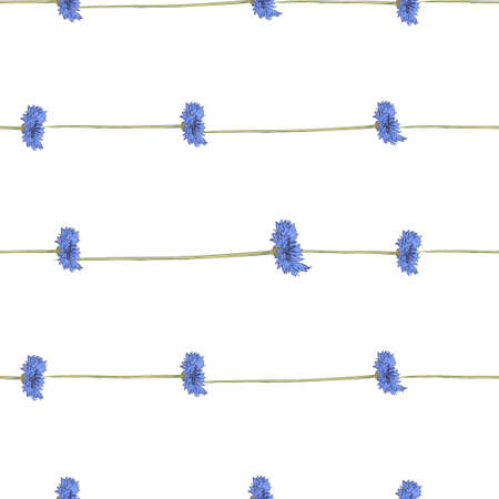 Seamless pattern with blue cornflowers on white background