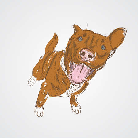 Dog sitting. Vector illustrationのイラスト素材