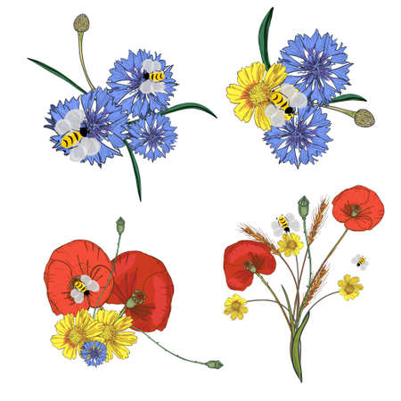 Wild flowers colorful illustration.のイラスト素材