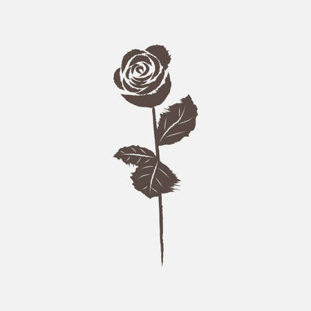 Grunge elegance ink splash illustration of rose flower.のイラスト素材