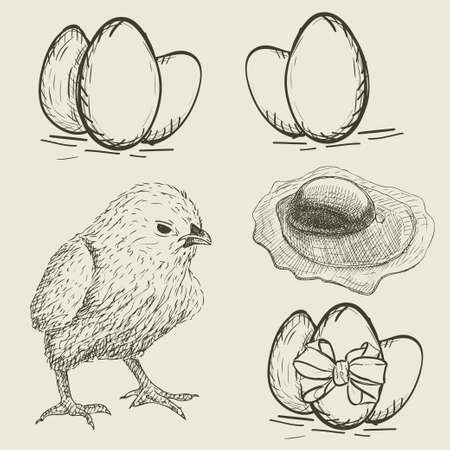 Set of chicken and egg in Sketch illustration.のイラスト素材