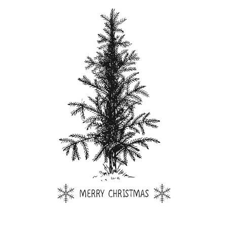 Card design with a hand drawn Christmas tree with snowflakes and Merry Christmas text.のイラスト素材