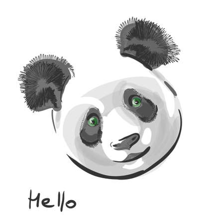 Hello. Panda. Portrait of cute pandaのイラスト素材
