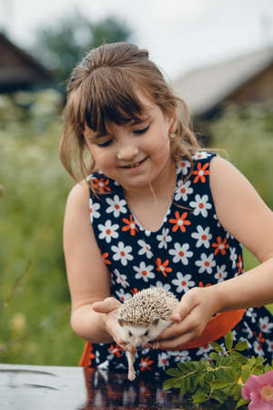 little girl and the prickly hedgehog in summer at the tableの写真素材