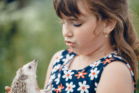 little girl and a hedgehog looking at each otherの写真素材