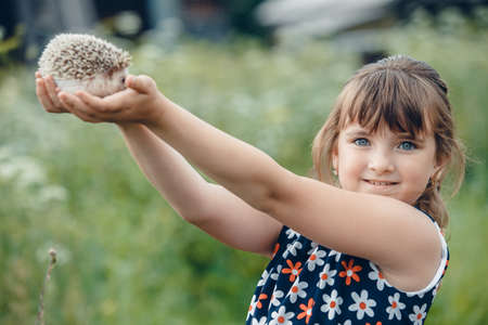 little girl holding a gray prickly hedgehog on his outstretched handsの写真素材