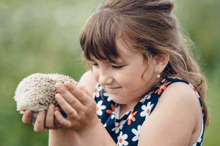 little girl holding a gray prickly hedgehog in her armsの写真素材