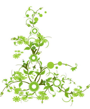  flower with beautiful green colorの写真素材