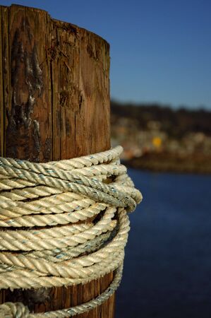 Dock Piling
